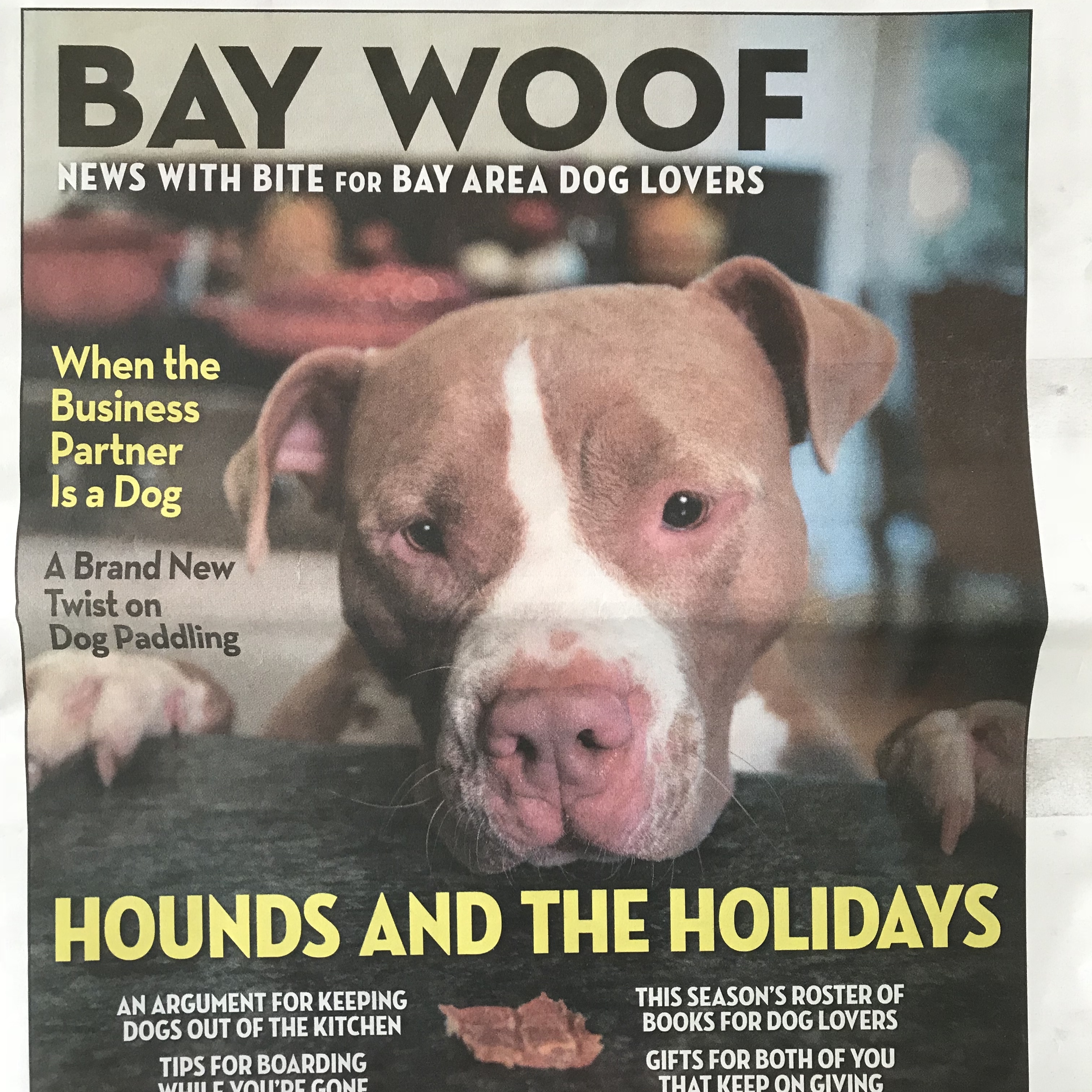 Bay Woof magazine December 2015